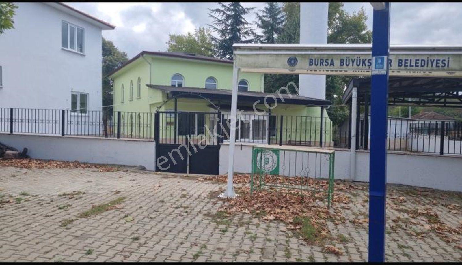 Bursa Yenişehir Mecidiye'de Köye Yakın Satılık Tarla - 7.962 M² - Görsel 7