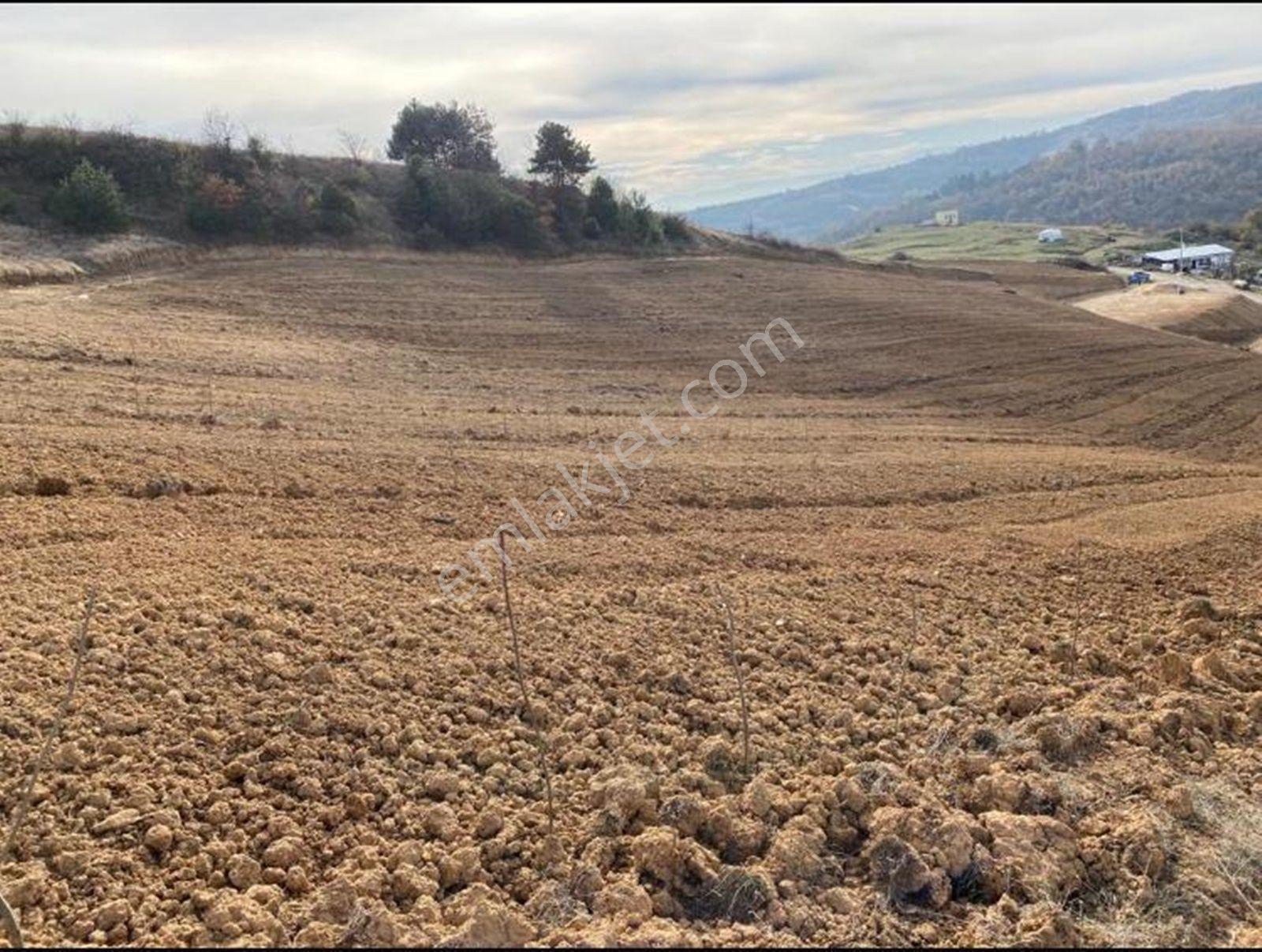 Bursa Yenişehir Mecidiye'de Köye Yakın Satılık Tarla - 7.962 M² - Görsel 9