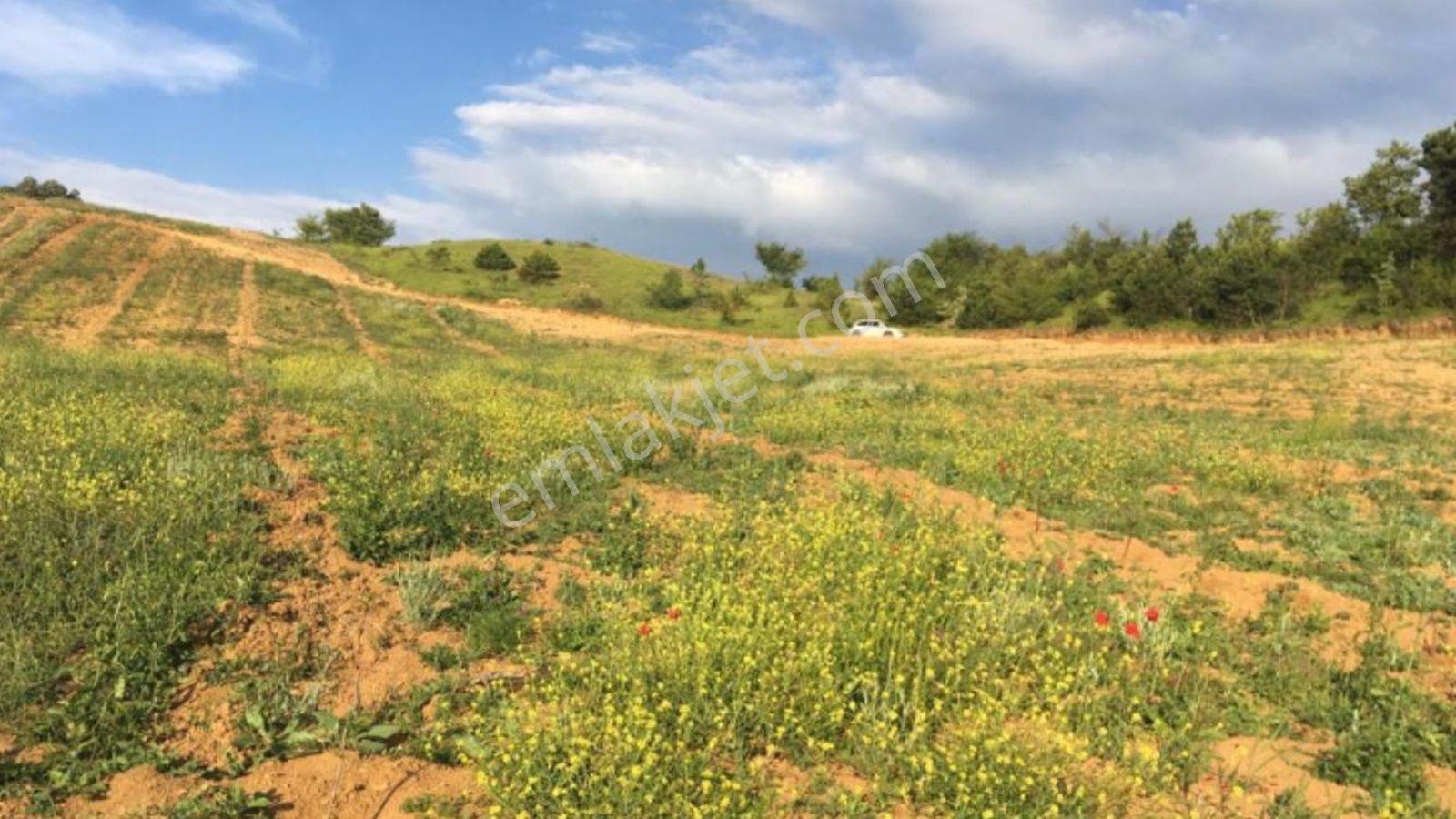 Bursa Yenişehir Mecidiye'de Köye Yakın Satılık Tarla - 7.962 M² - Görsel 27