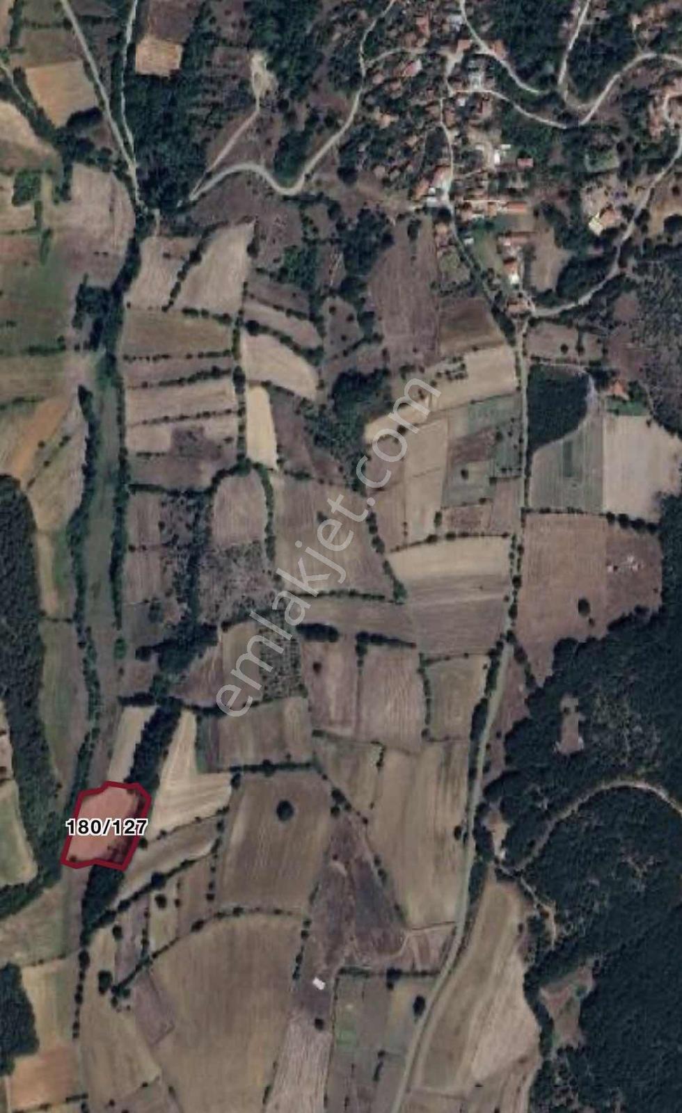 Söğüte 19 Dakika! Köye Yakın 5.712 M² Satılık Fırsat Arazi - Görsel 4