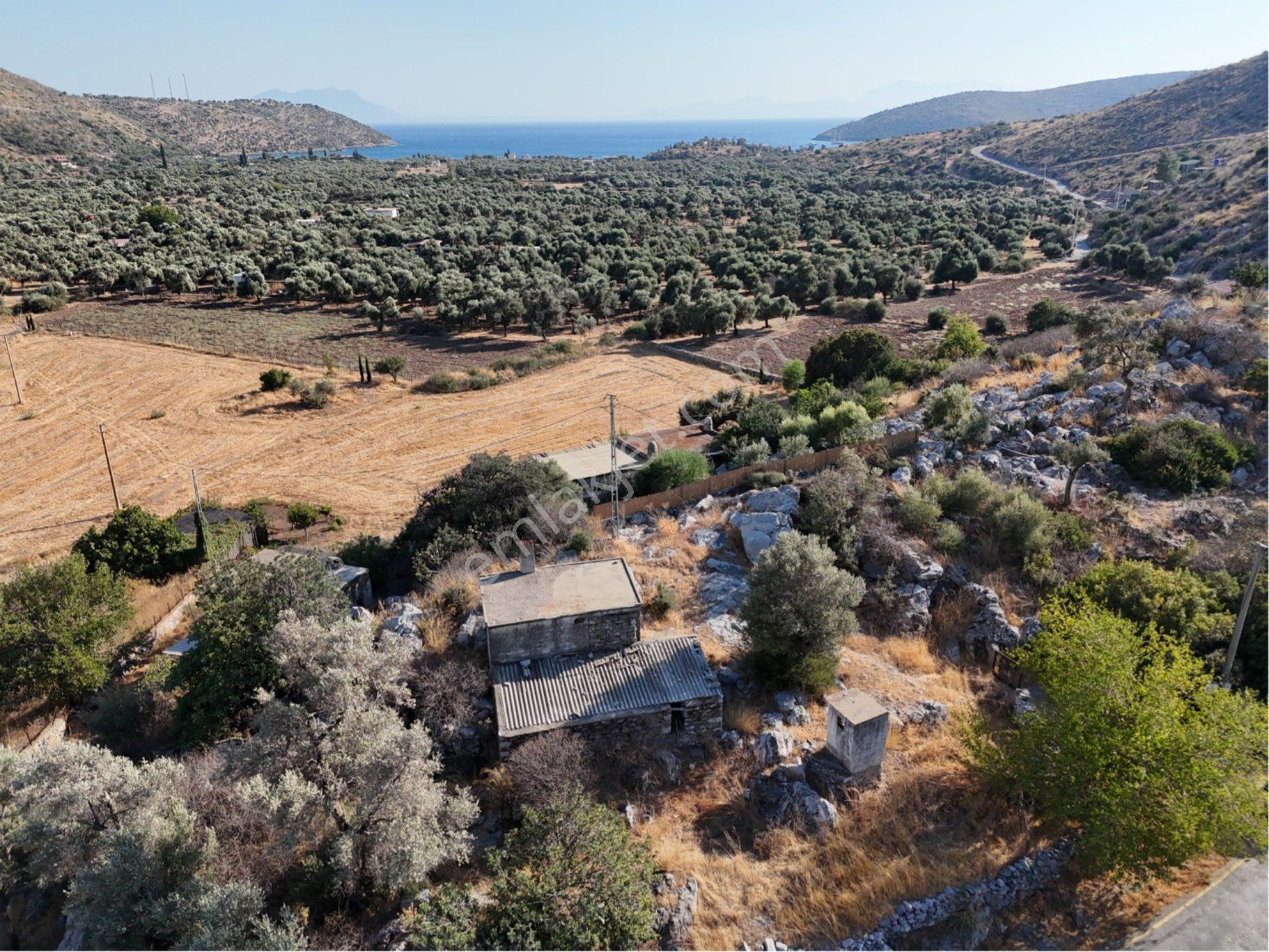 Milas Çökertmede Deniz Manzaralı Tapulu 800m2 Müstakil Ev - Görsel 19