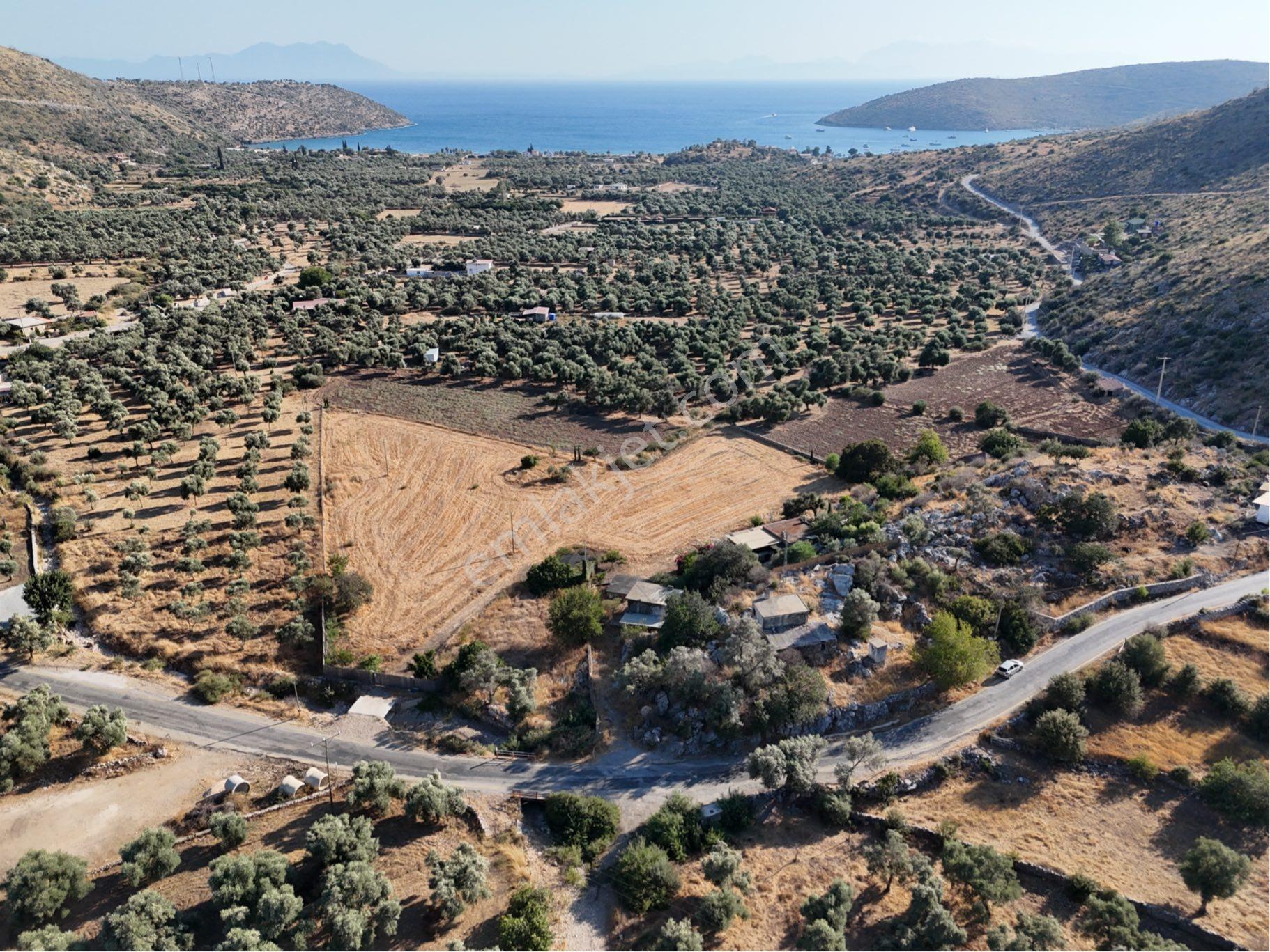 Milas Çökertmede Deniz Manzaralı Tapulu 800m2 Müstakil Ev - Görsel 34
