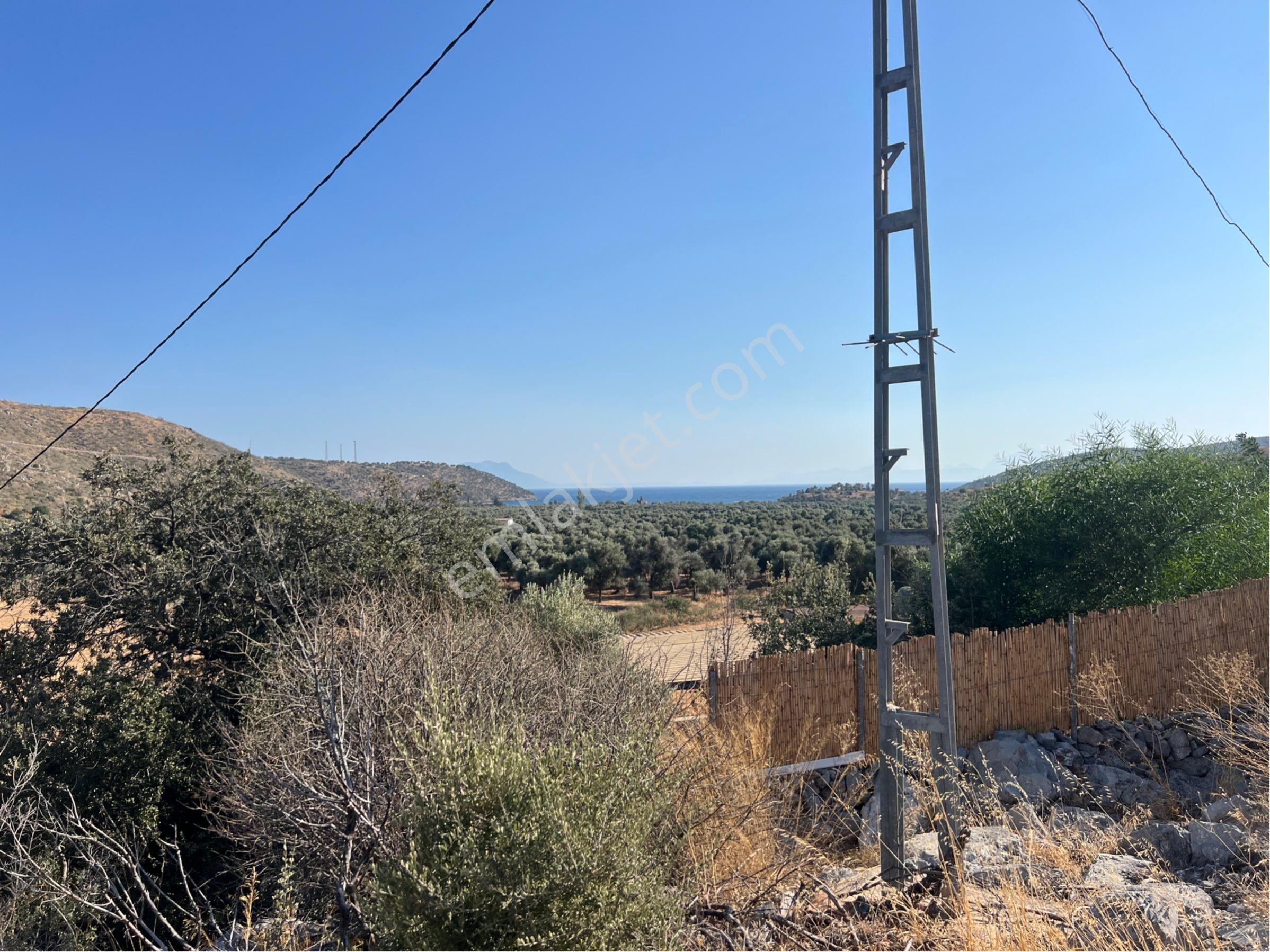 Milas Çökertmede Deniz Manzaralı Tapulu 800m2 Müstakil Ev - Görsel 11
