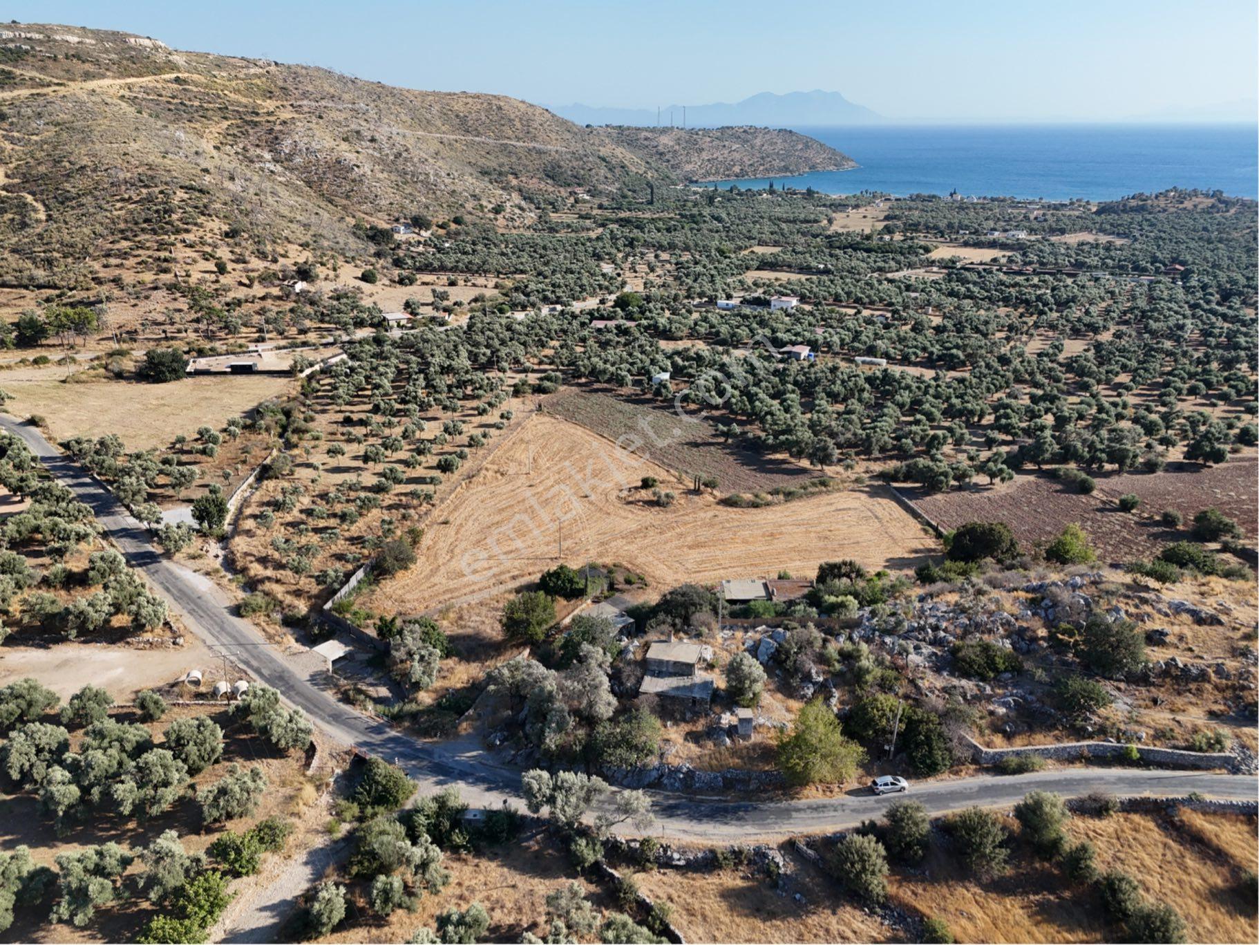 Milas Çökertmede Deniz Manzaralı Tapulu 800m2 Müstakil Ev - Görsel 31