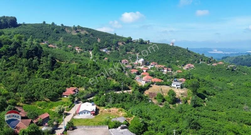 Remax Rıdvan Gedikten Kocaali Küplükte İmarlı 3.740 M2 Arsa - Görsel 26