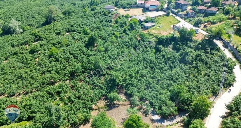 Remax Rıdvan Gedikten Kocaali Küplükte İmarlı 3.740 M2 Arsa - Görsel 6