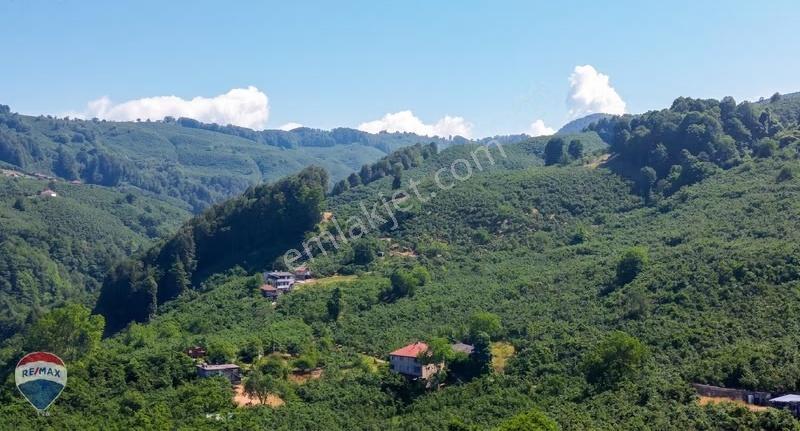 Remax Rıdvan Gedikten Kocaali Küplükte İmarlı 3.740 M2 Arsa - Görsel 21