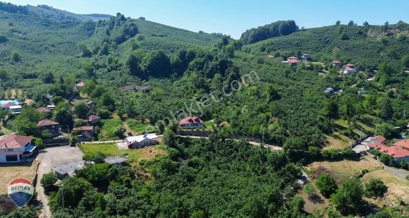 Remax Rıdvan Gedikten Kocaali Küplükte İmarlı 3.740 M2 Arsa - Görsel 22