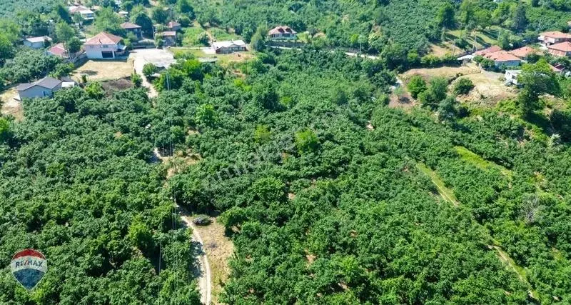 Remax Rıdvan Gedikten Kocaali Küplükte İmarlı 3.740 M2 Arsa - Görsel 27