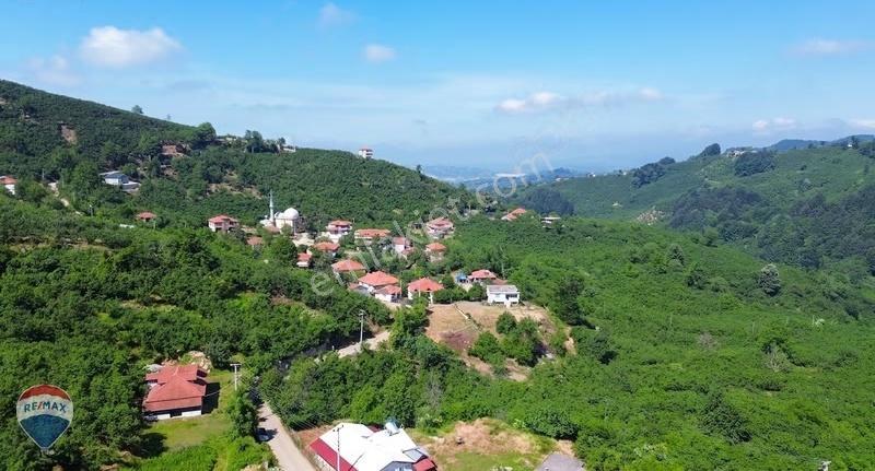 Remax Rıdvan Gedikten Kocaali Küplükte İmarlı 3.740 M2 Arsa - Görsel 18