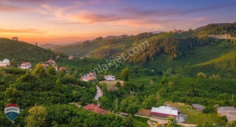Remax Rıdvan Gedikten Kocaali Küplükte İmarlı 3.740 M2 Arsa - Görsel 13