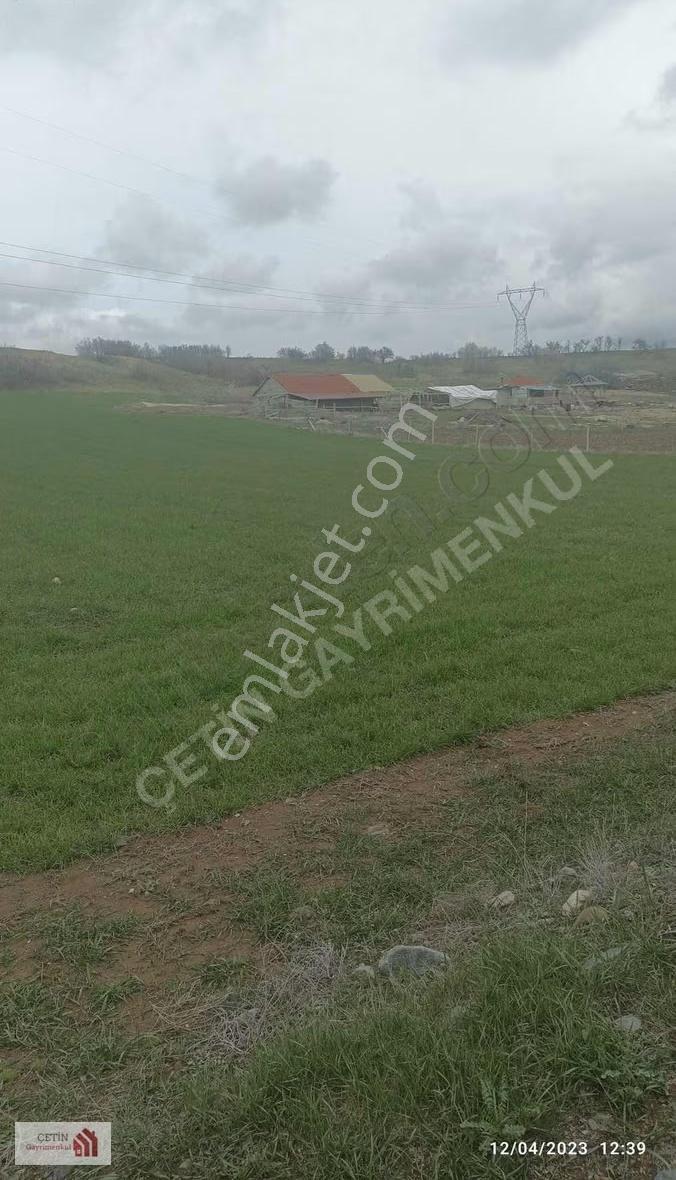Karamanlı Eşeler Köyünde Satılık Ceviz Bahçesi - Görsel 4