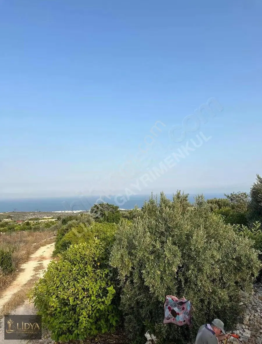 Yakında Arsa.. 4.600 M2 Satılık Deniz Manzaralı Limon Bahçesi