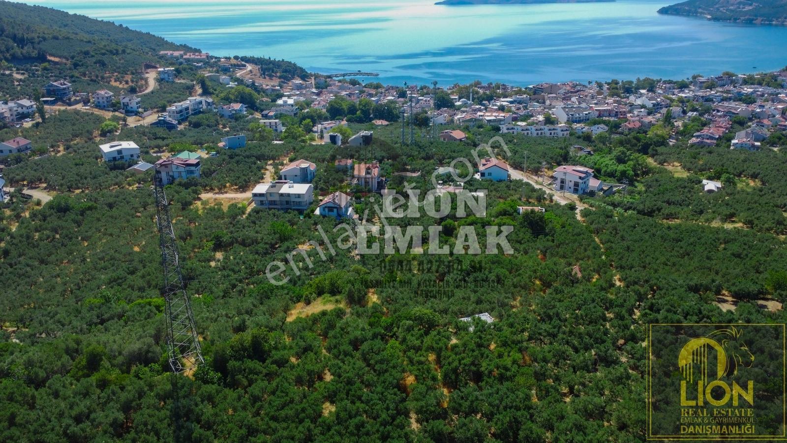 Lıon Emlak'tan Ocaklarda Deniz Manzaralı Satılık Zeytinlik - Görsel 22
