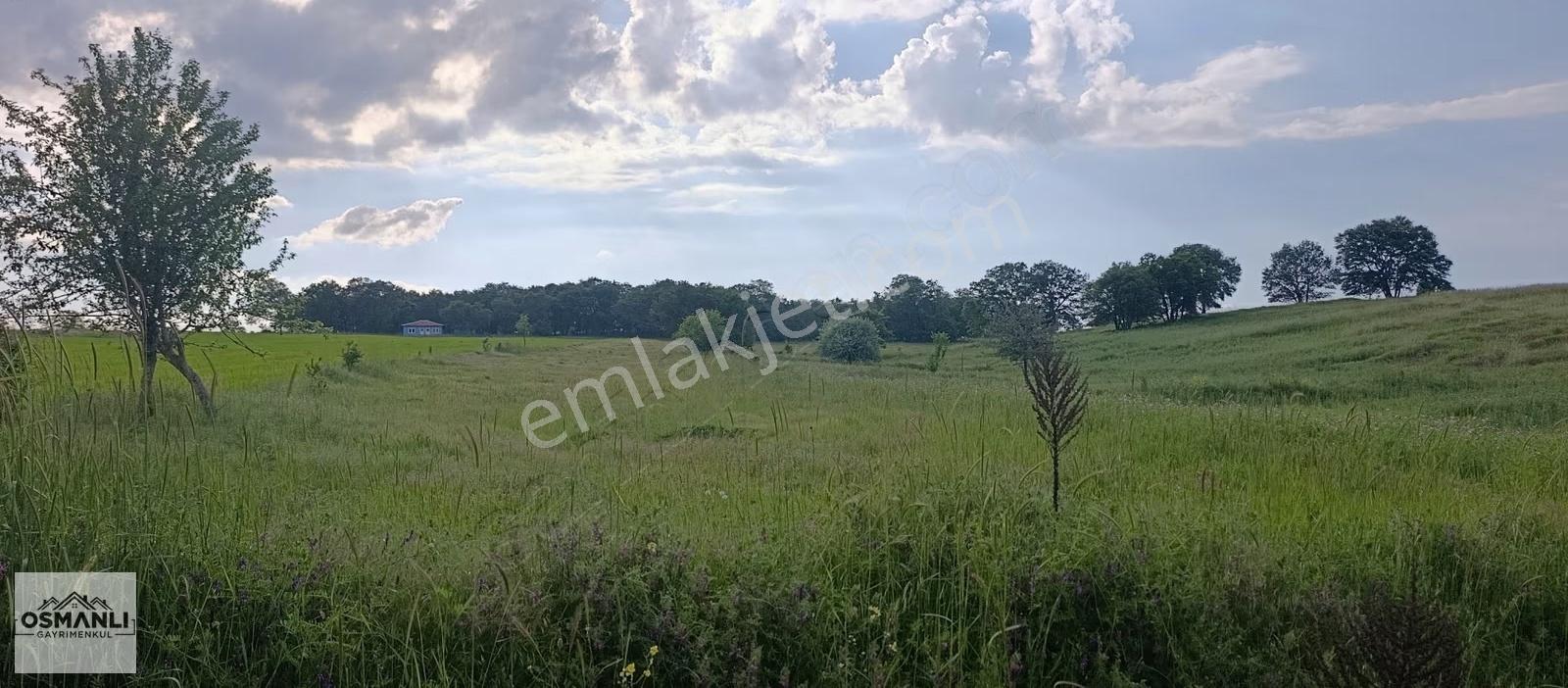 Asfalt Kenarı 4.700 M2, Manzaralı Çiftlik Arazisi - Görsel 6