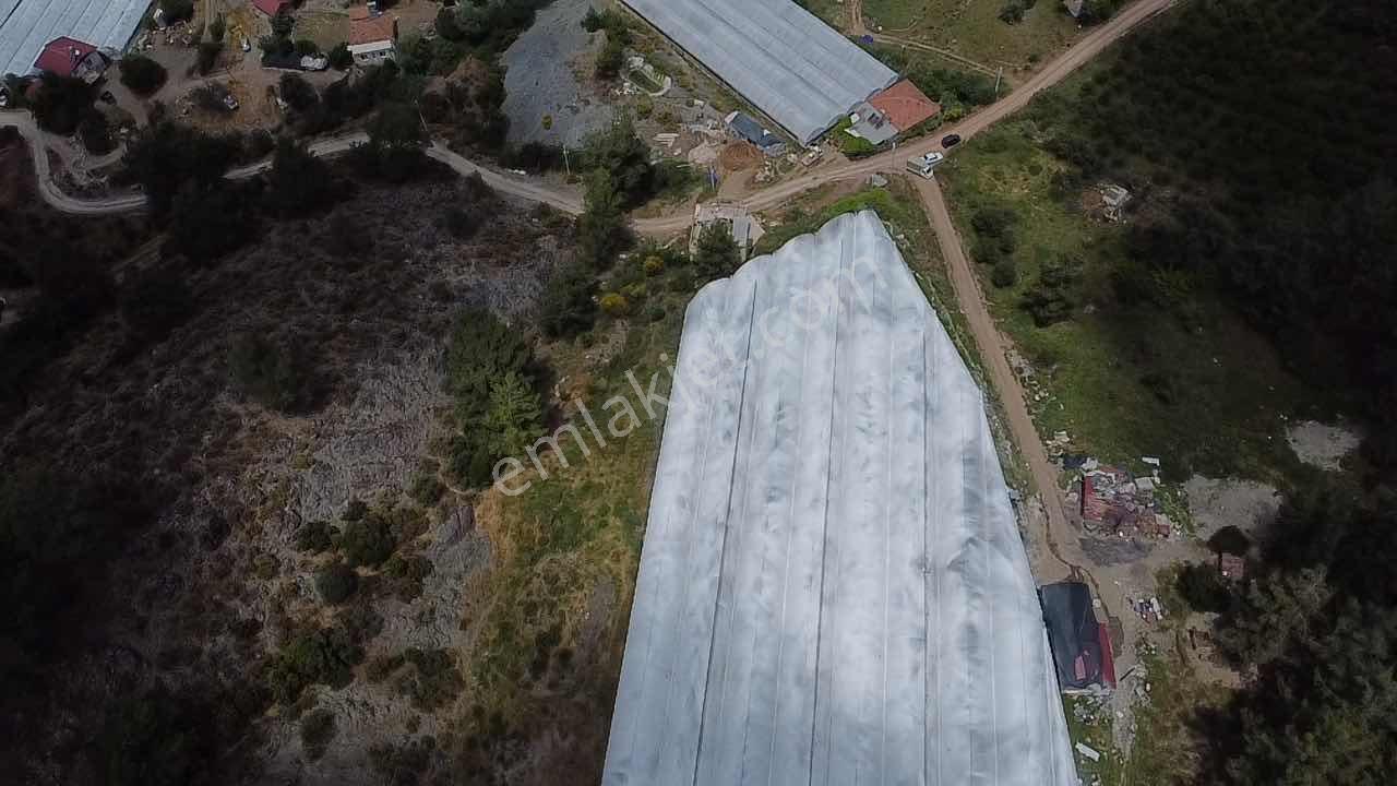 Kökce'den Kumluca Ortaköy Mahallesi Satılık Müstakil Tapu Sera - Görsel 7