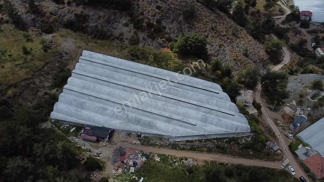 Kökce'den Kumluca Ortaköy Mahallesi Satılık Müstakil Tapu Sera - Görsel 4