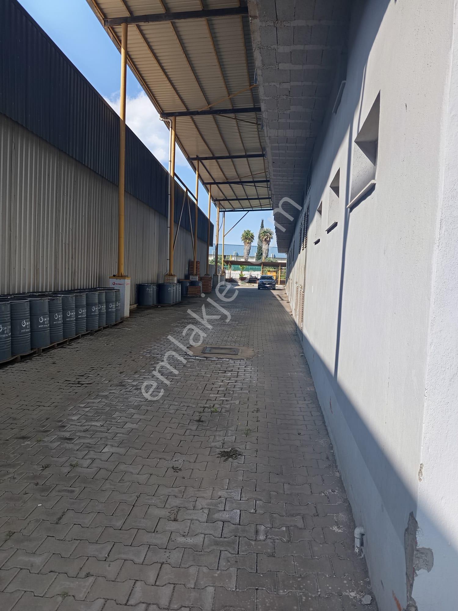 Organize Sanayi 7353m2 Arsa 3181m2 Kapalı+500m2 Ofis Yükseklik 9m İlk Giriş Fabrikası E-5 Ten 300m - Görsel 19