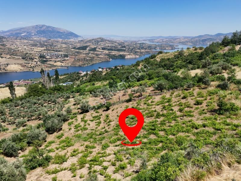 Cb'den Demrek'te Baraj Manzaralı (3.165m2)satılık Zeytin Bahçesi - Görsel 9