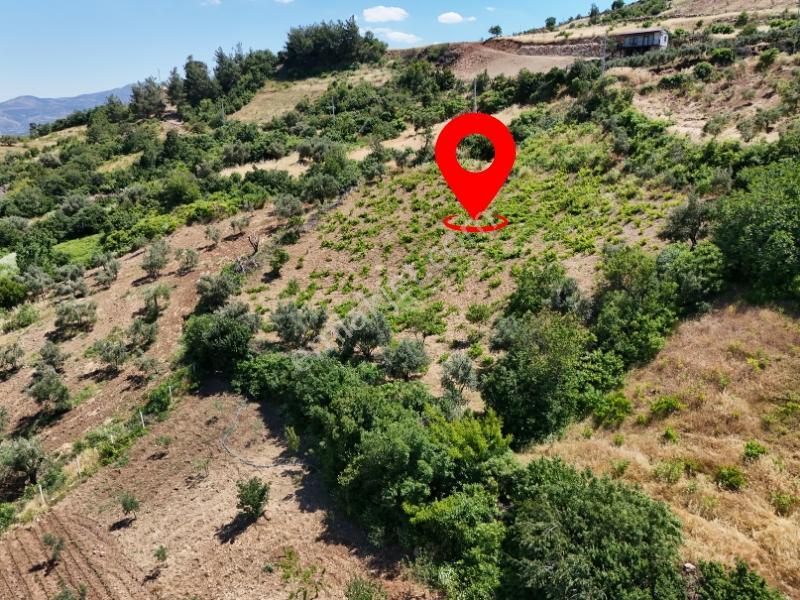 Cb'den Demrek'te Baraj Manzaralı (3.165m2)satılık Zeytin Bahçesi - Görsel 2