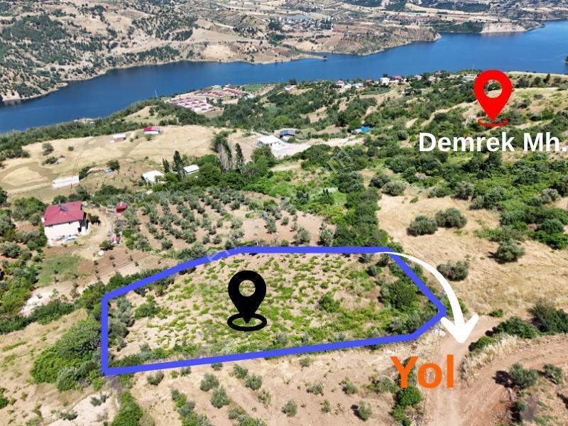 Cb'den Demrek'te Baraj Manzaralı (3.165m2)satılık Zeytin Bahçesi