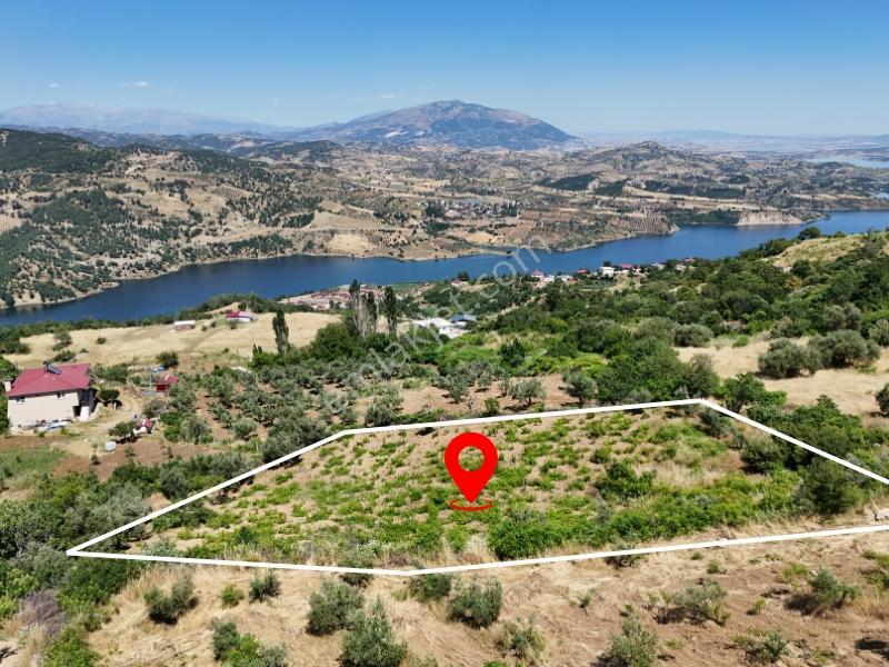 Cb'den Demrek'te Baraj Manzaralı (3.165m2)satılık Zeytin Bahçesi - Görsel 7