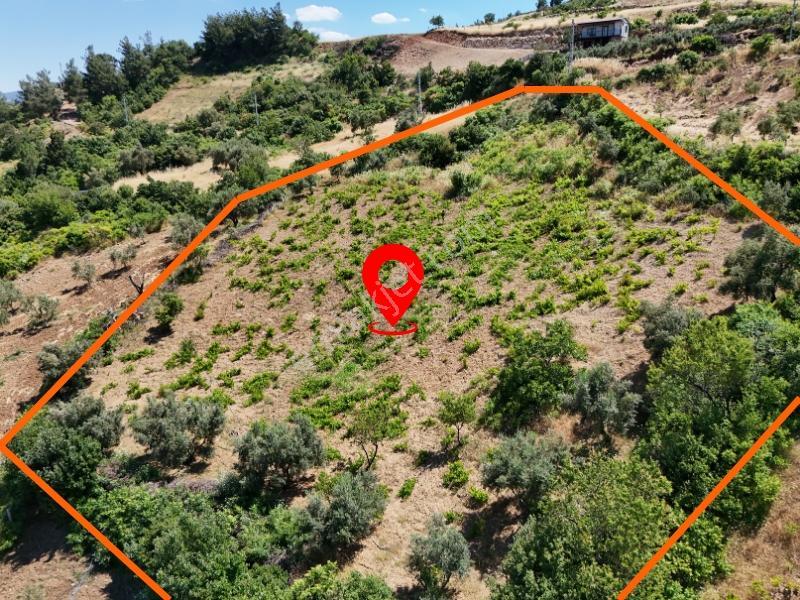 Cb'den Demrek'te Baraj Manzaralı (3.165m2)satılık Zeytin Bahçesi - Görsel 8
