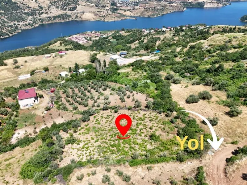 Cb'den Demrek'te Baraj Manzaralı (3.165m2)satılık Zeytin Bahçesi - Görsel 5