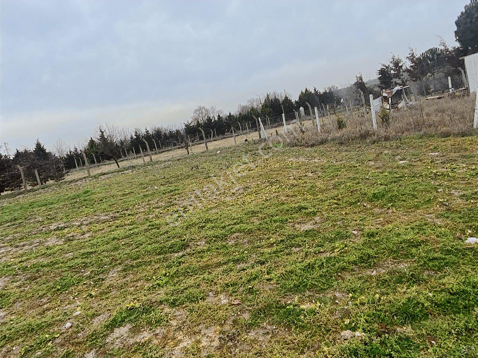Istanbul Silivri Değirmenköy Sahibinden Satılık Arsa - Görsel 22