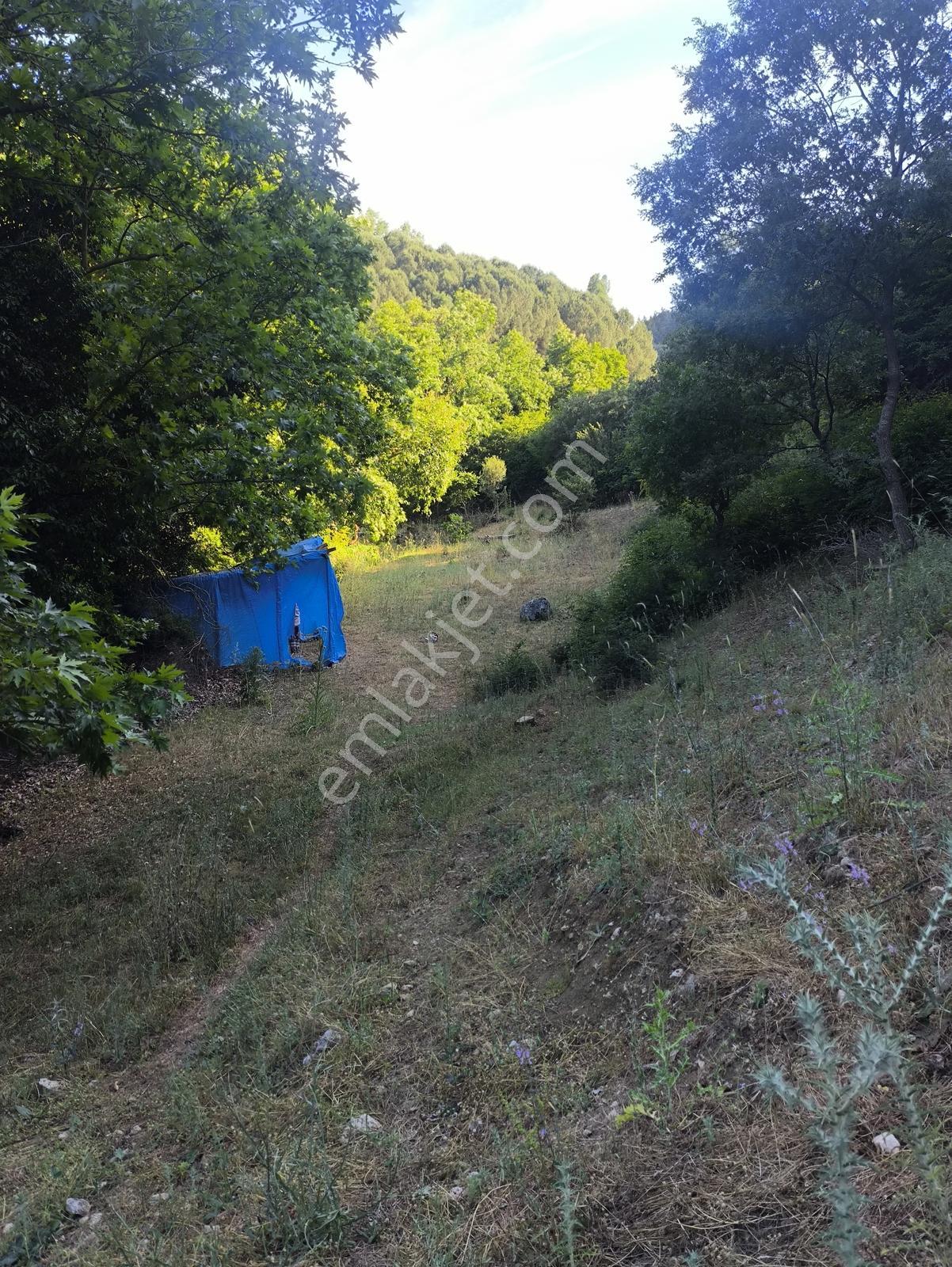Balya Kaya Emlak.imar Alanına Yakın 3 Adet Toplam 4350 M2 Tarla - Görsel 4