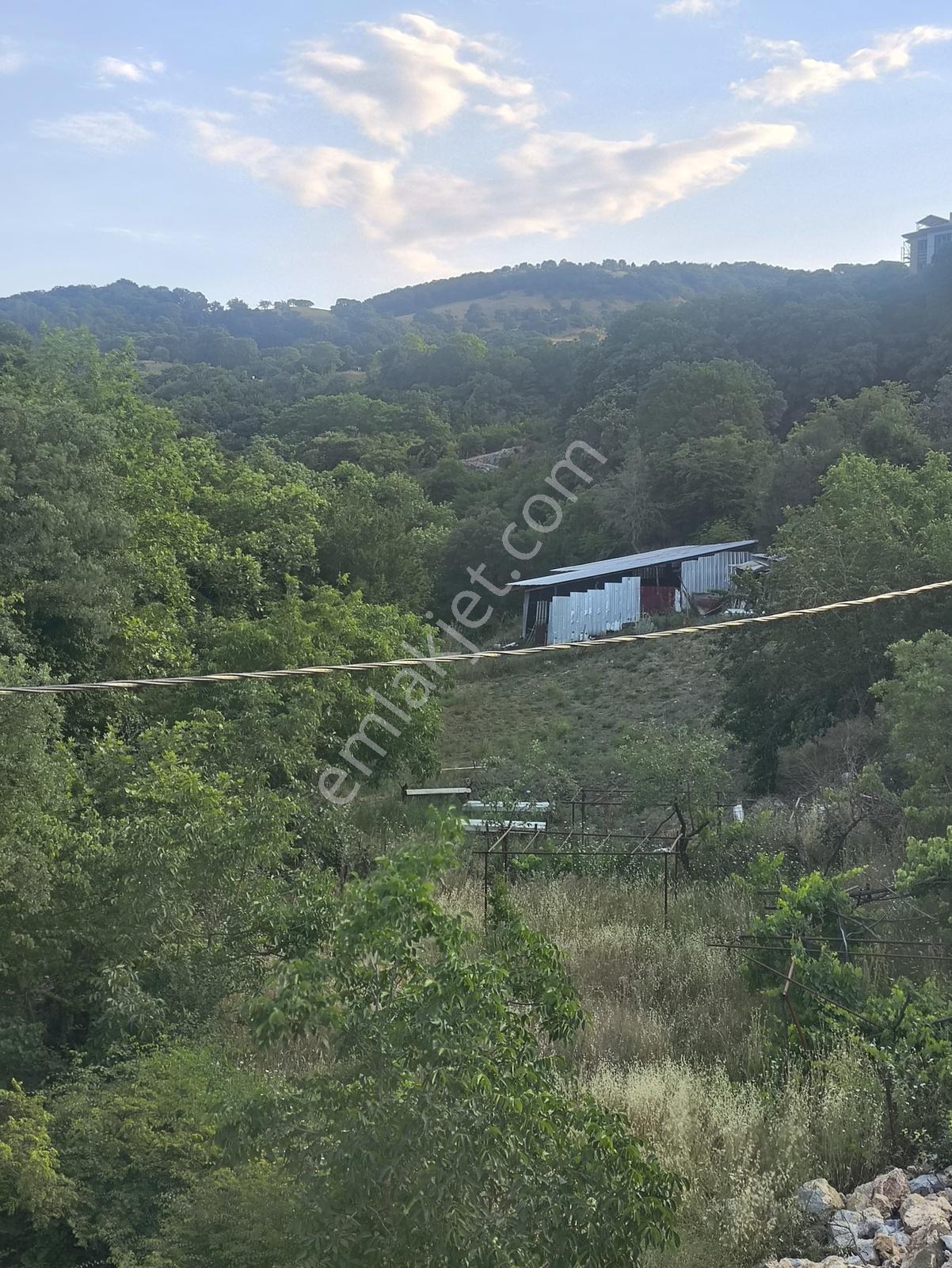Balya Kaya Emlak.imar Alanına Yakın 3 Adet Toplam 4350 M2 Tarla - Görsel 8