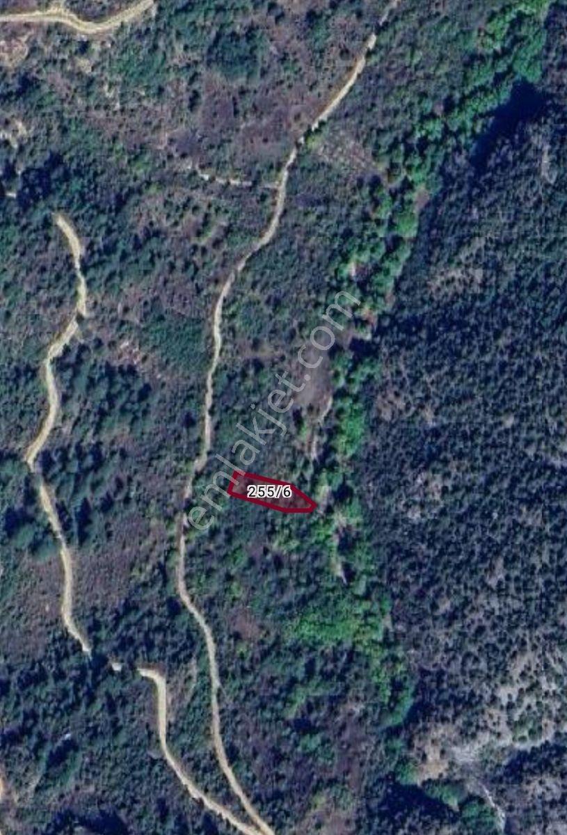 Profasor * Dan 700 M2 Bahçe Kadastro Yol Ve Dereye Cephe - Görsel 2