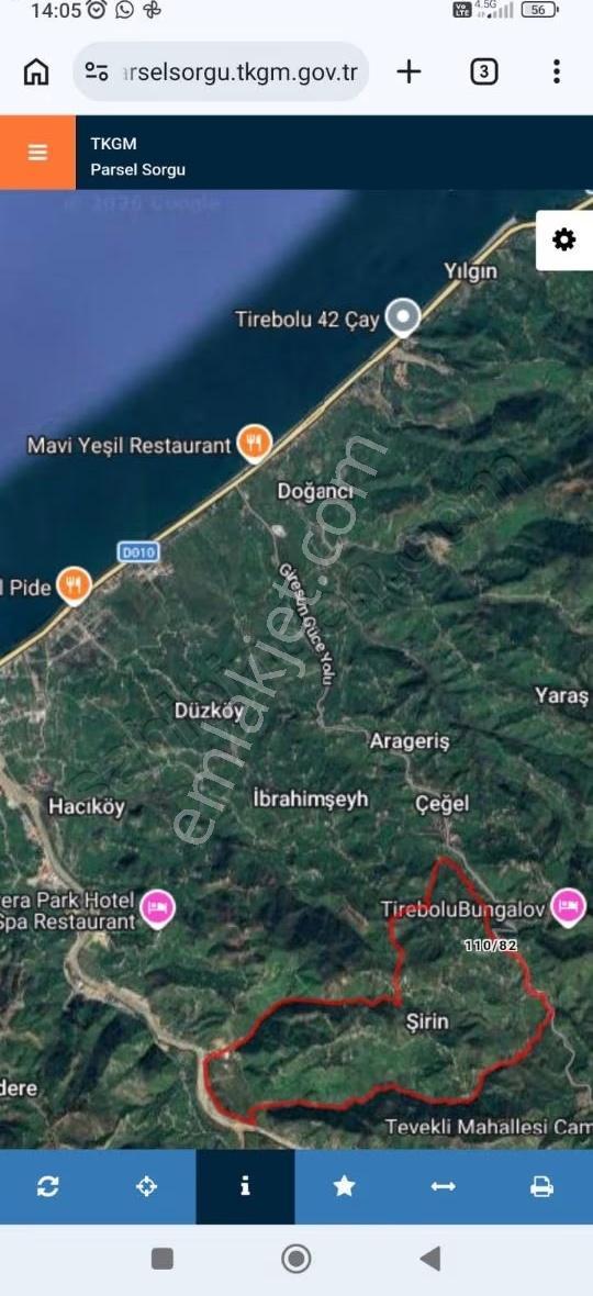 Tirebolu Şirinköy'de Yola Cephe 920 M² %40 İmarlı Fındık Bahçesi - Görsel 6