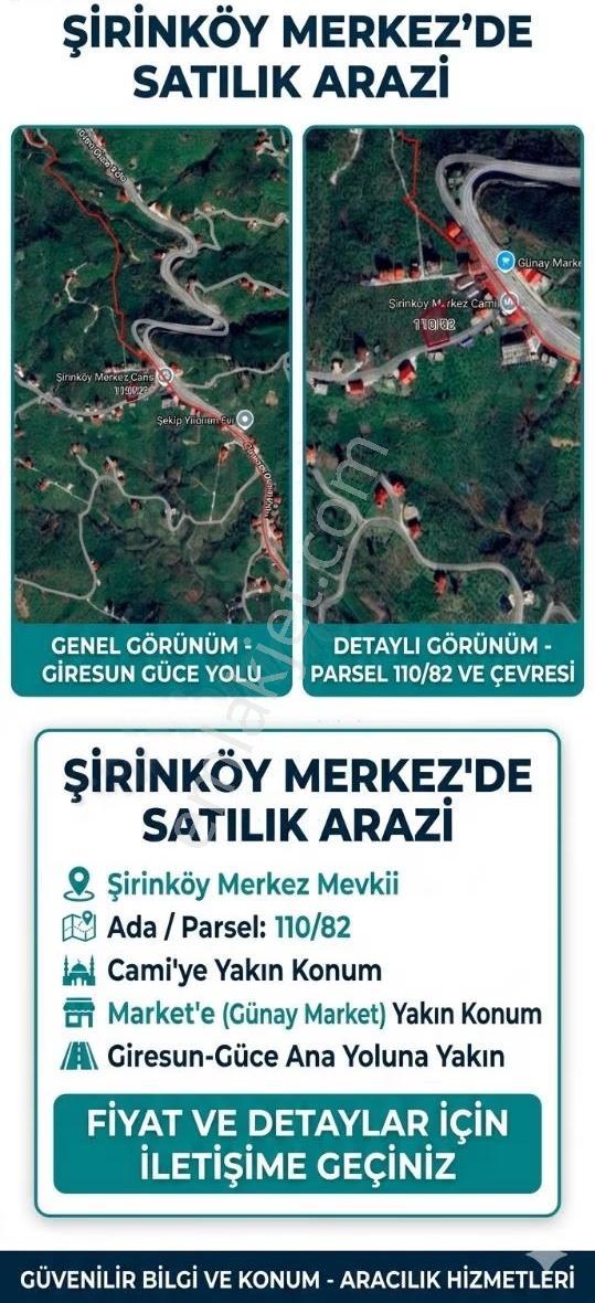 Tirebolu Şirinköy'de Yola Cephe 920 M² %40 İmarlı Fındık Bahçesi - Görsel 7