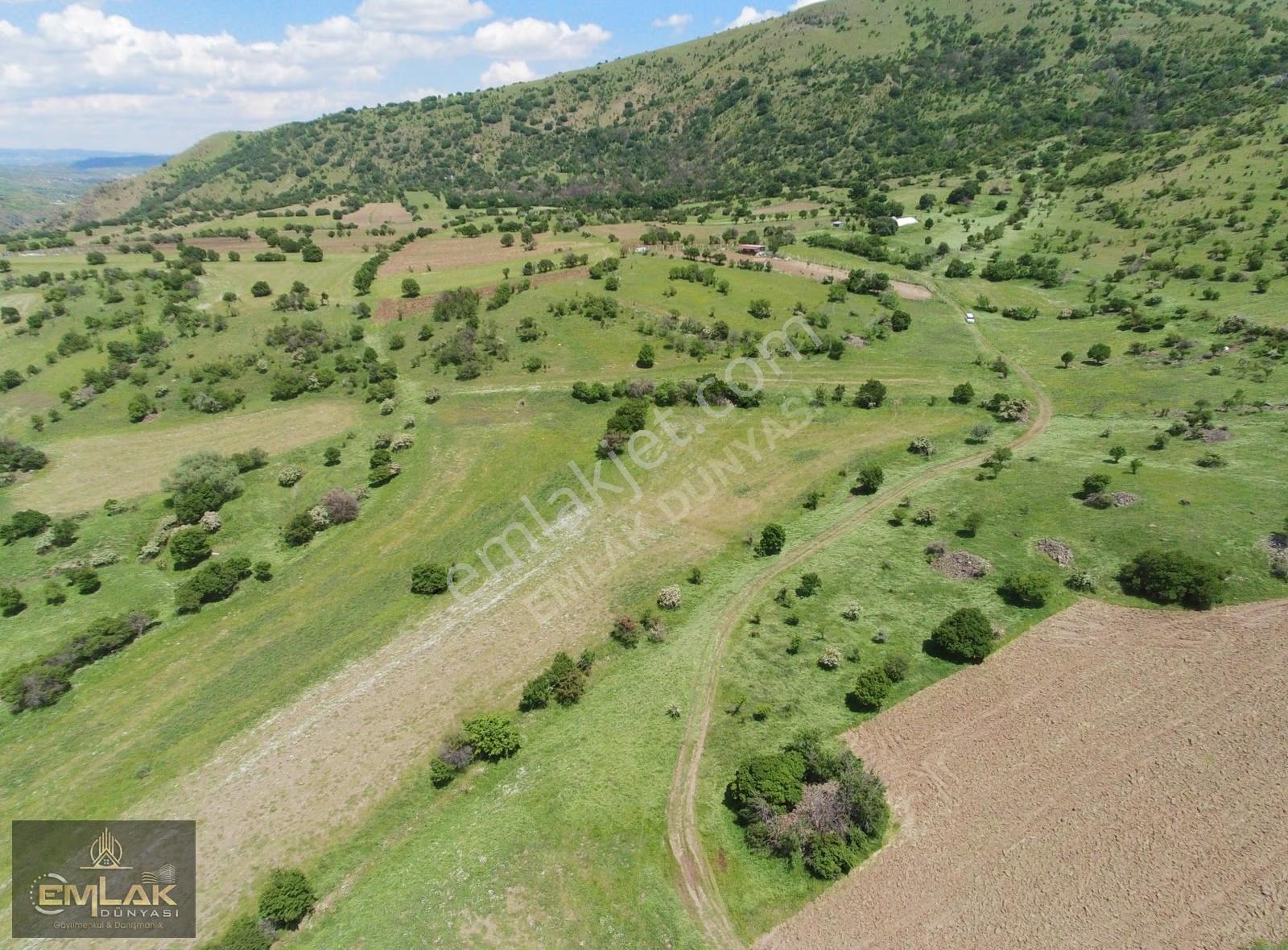 Ayaşta Kadastro Yolu Kenarı Tek Tapu 4.262 M2 Tarla - Görsel 7