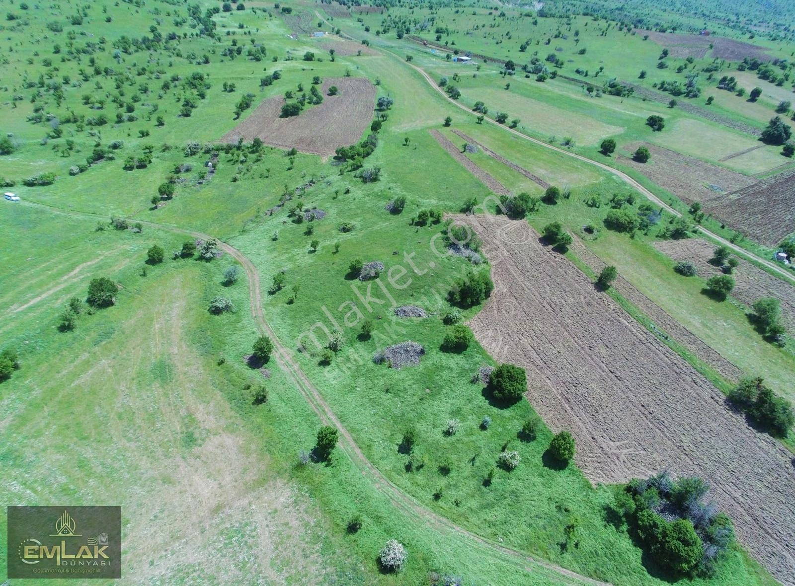 Ayaşta Kadastro Yolu Kenarı Tek Tapu 4.262 M2 Tarla - Görsel 6