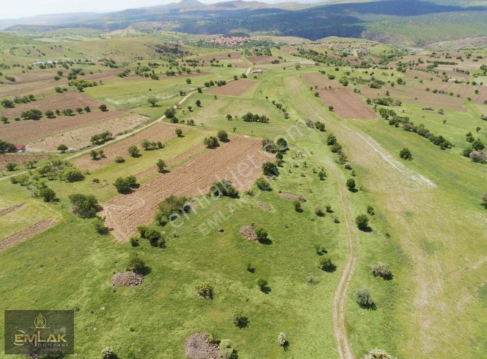 Ayaşta Kadastro Yolu Kenarı Tek Tapu 4.262 M2 Tarla - Görsel 3
