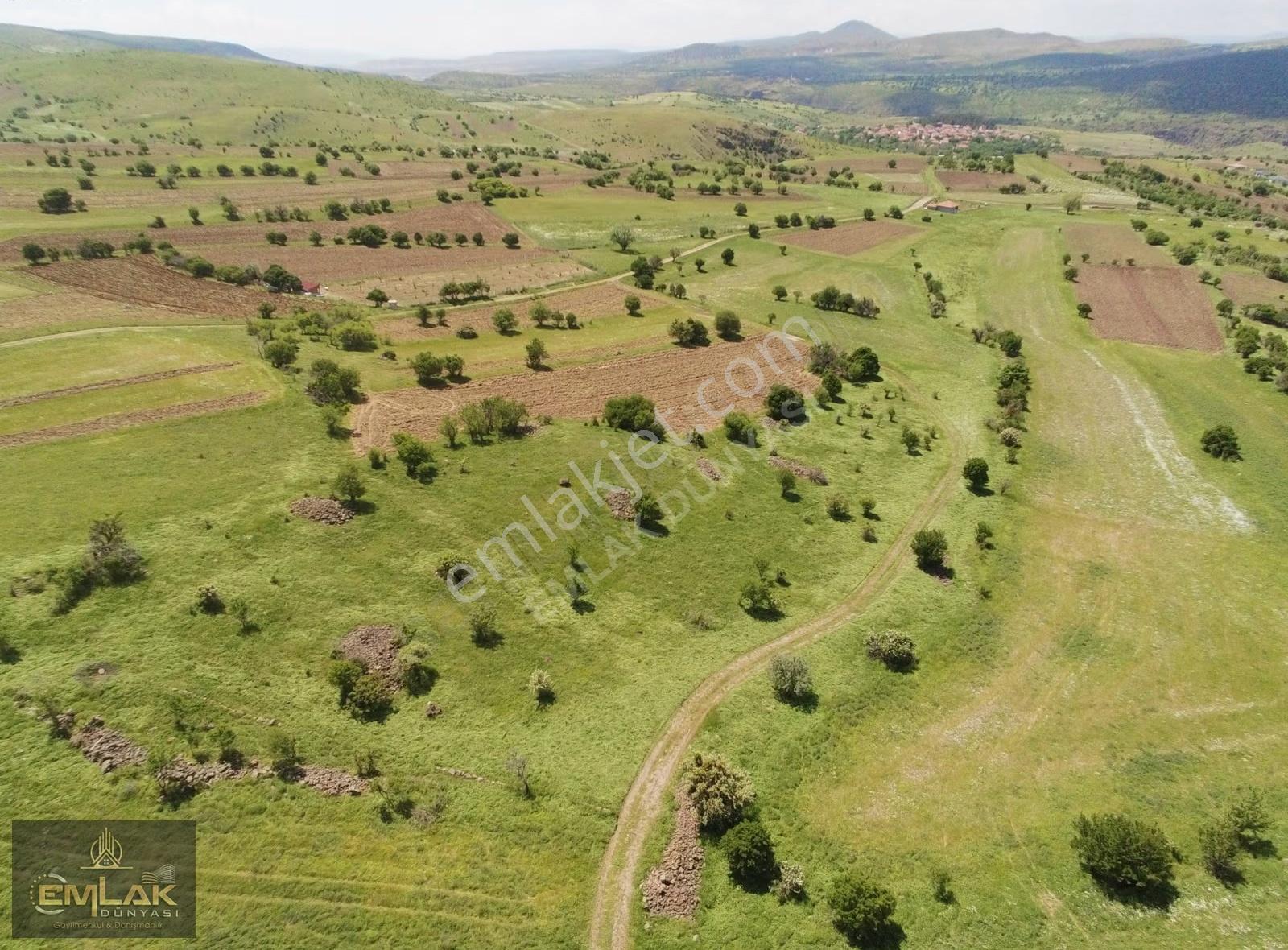 Ayaşta Kadastro Yolu Kenarı Tek Tapu 4.262 M2 Tarla - Görsel 5