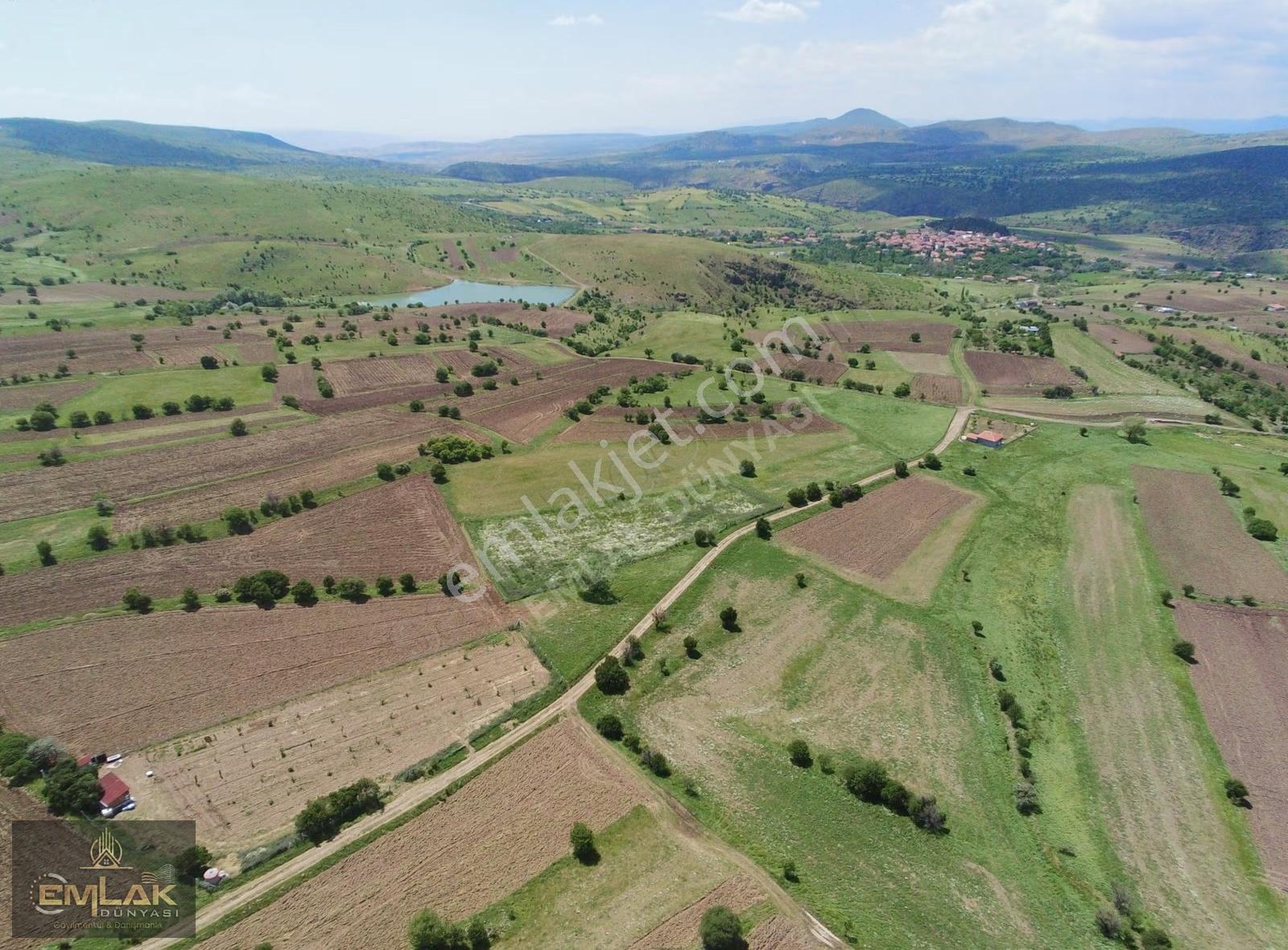 Ayaşta Kadastro Yolu Kenarı Tek Tapu 4.262 M2 Tarla