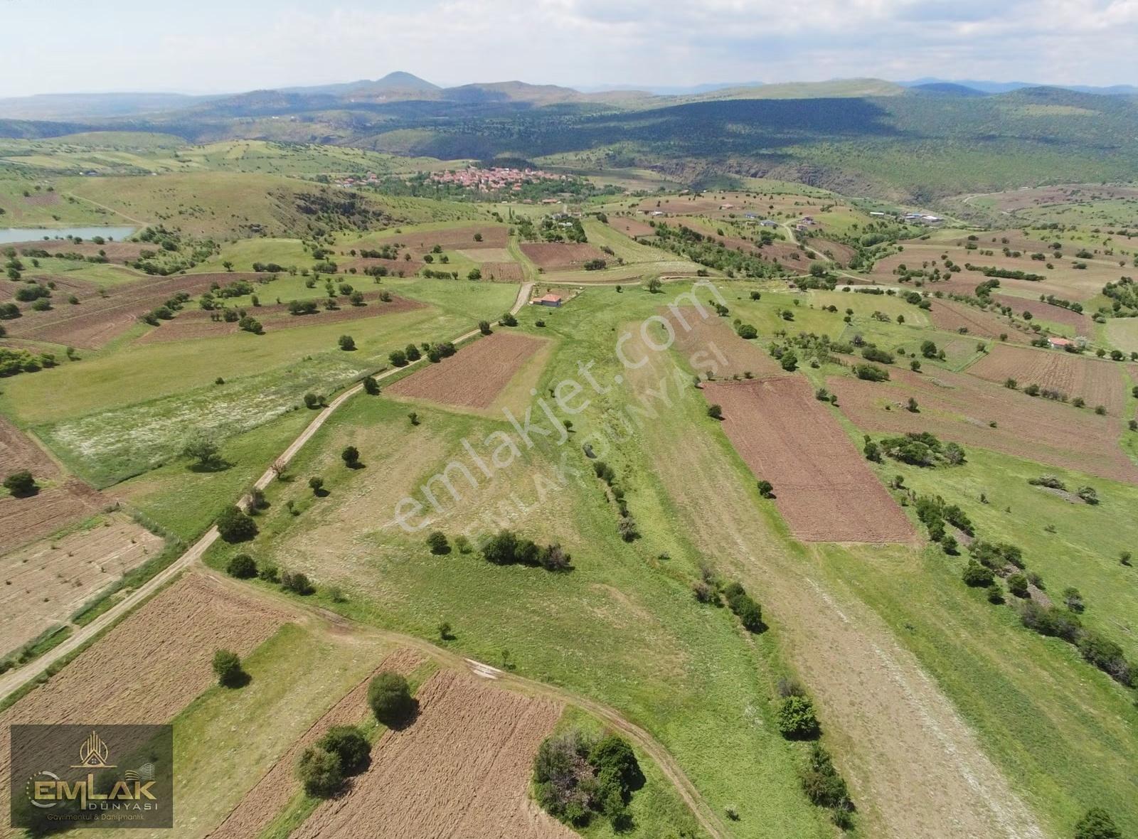 Ayaşta Kadastro Yolu Kenarı Tek Tapu 4.262 M2 Tarla - Görsel 22