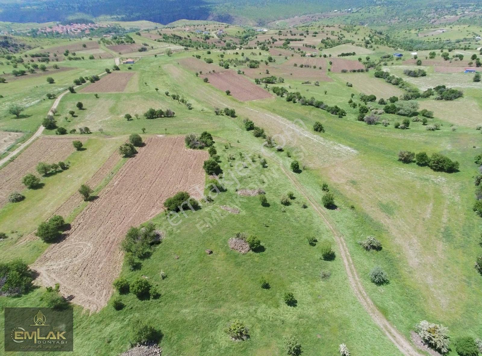 Ayaşta Kadastro Yolu Kenarı Tek Tapu 4.262 M2 Tarla - Görsel 19