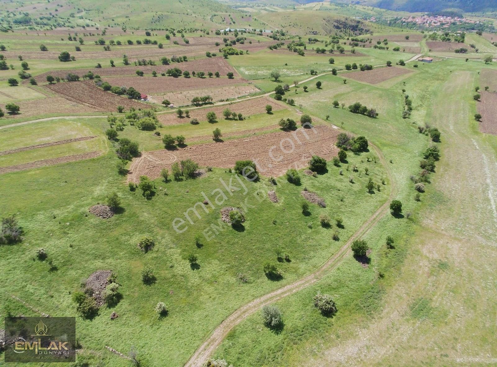 Ayaşta Kadastro Yolu Kenarı Tek Tapu 4.262 M2 Tarla - Görsel 4
