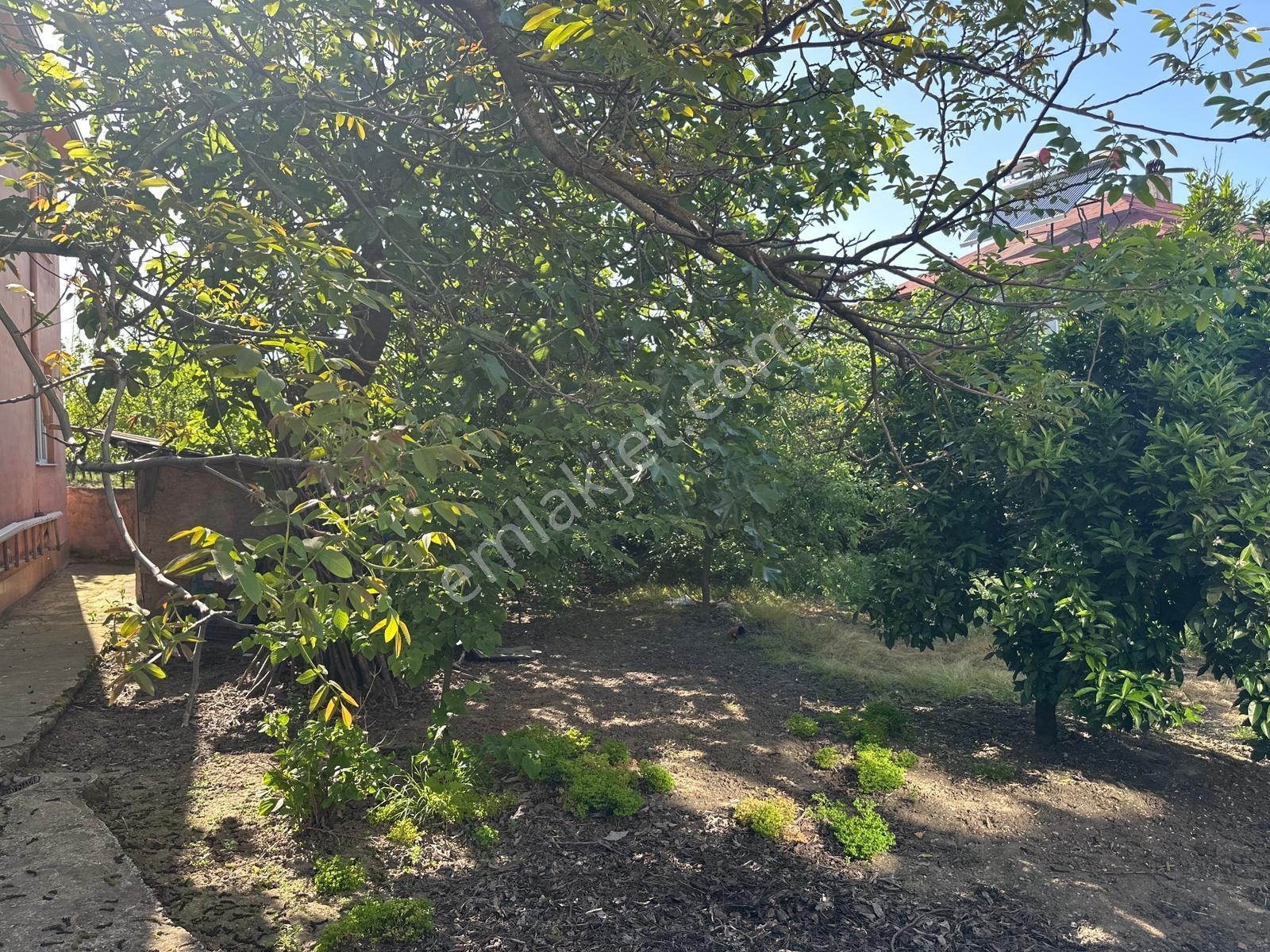 Konut İmarlı 863 M2 Anayola Yakın Arsa Ve Ev - Görsel 18
