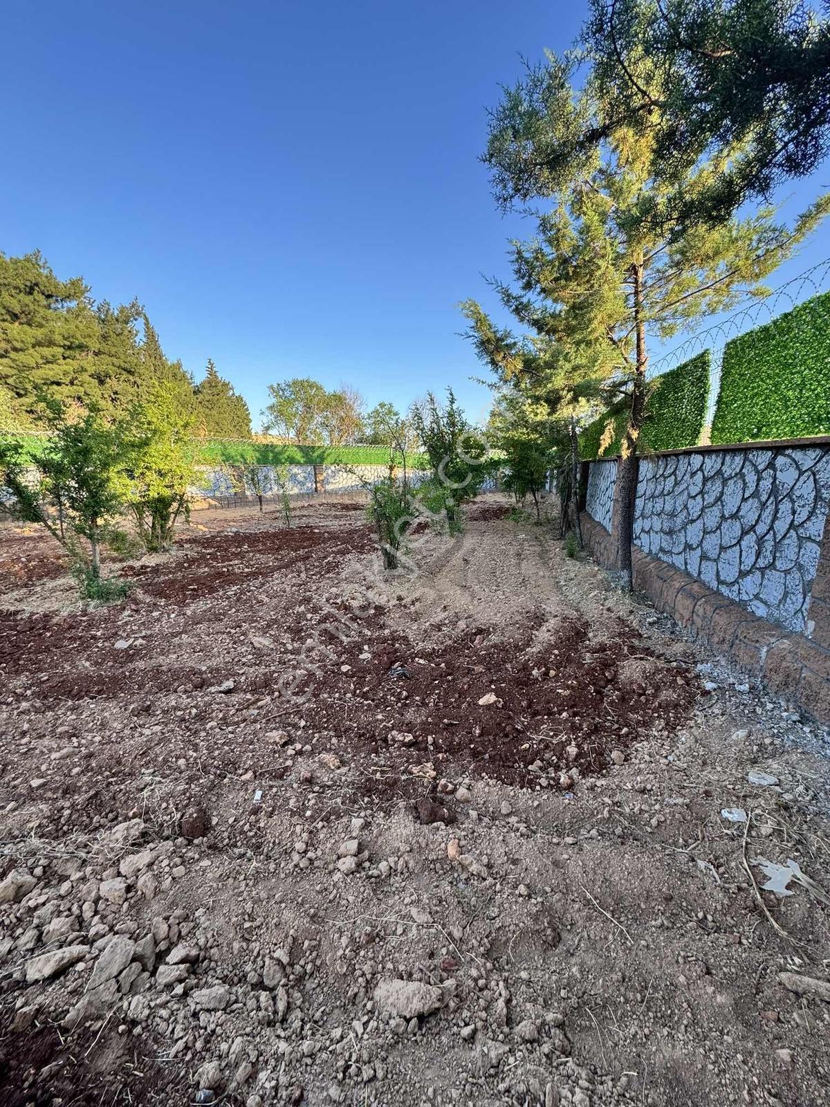 Barondan Günbulur Lüx Bağ Evi - Görsel 10