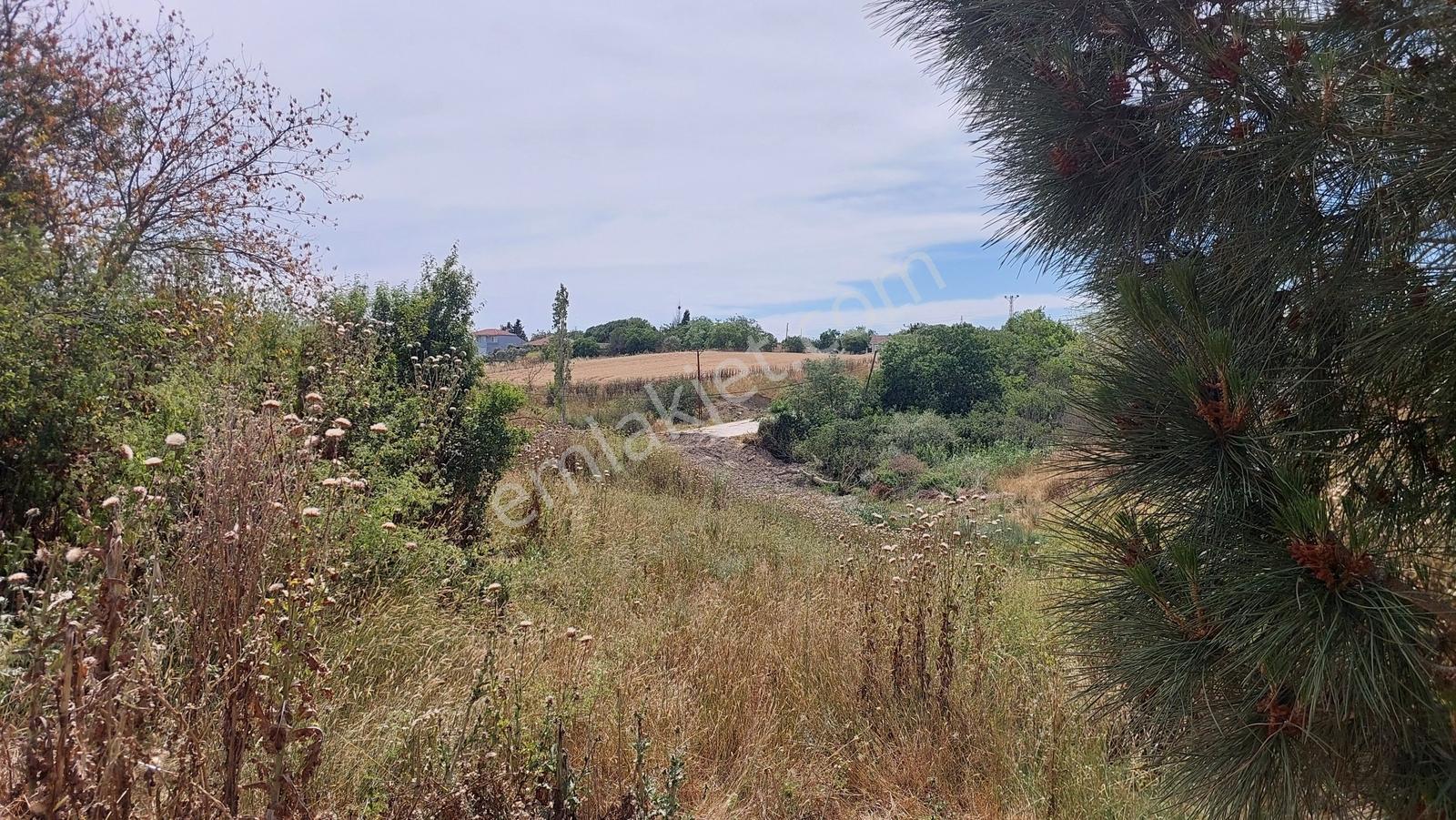 Marmaraereğlisi Yakupluda 833 M² Konut İmarlı Satılık Arsa - Görsel 13