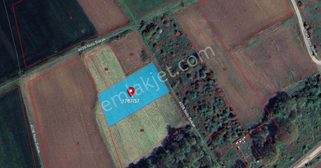 Korucuk'ta Satılık 1753m² 5 Kat İmarlı Arsa - Turgut Gayrimenkul - Görsel 3