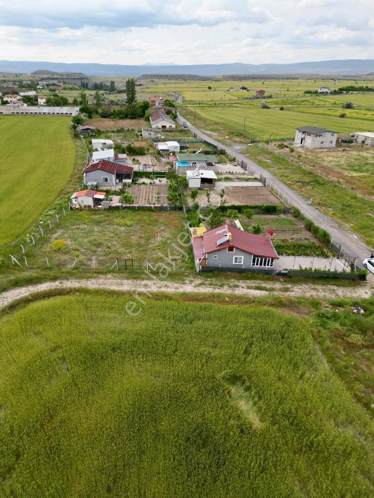 Gesi Turan'da Tapulu 500 M² Bahçe | Suyu Çekili | Doğa İçinde - Görsel 5