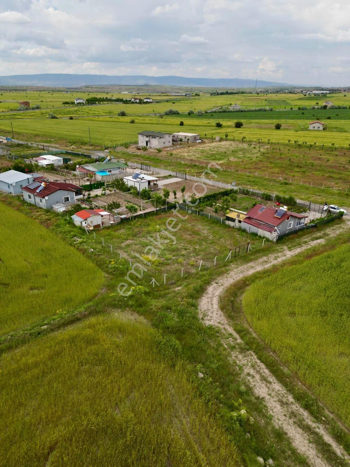Gesi Turan'da Tapulu 500 M² Bahçe | Suyu Çekili | Doğa İçinde - Görsel 11