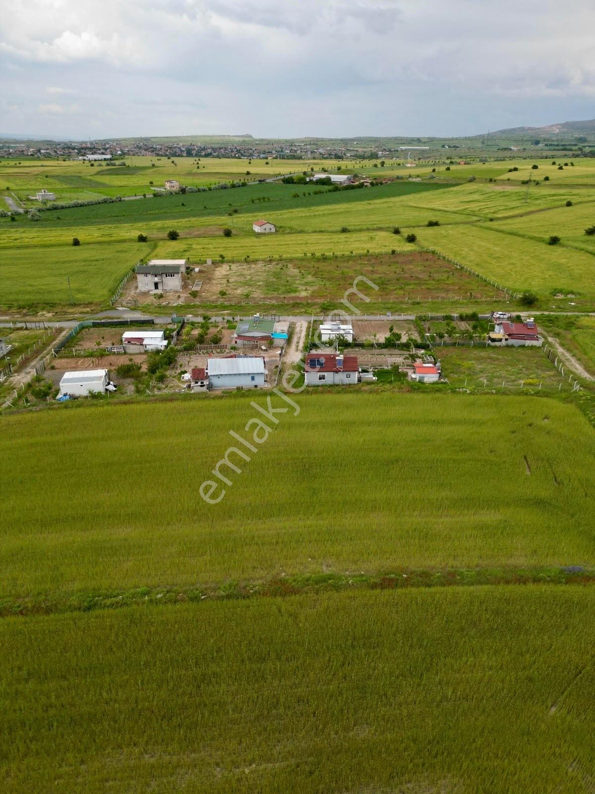 Gesi Turan'da Tapulu 500 M² Bahçe | Suyu Çekili | Doğa İçinde - Görsel 13