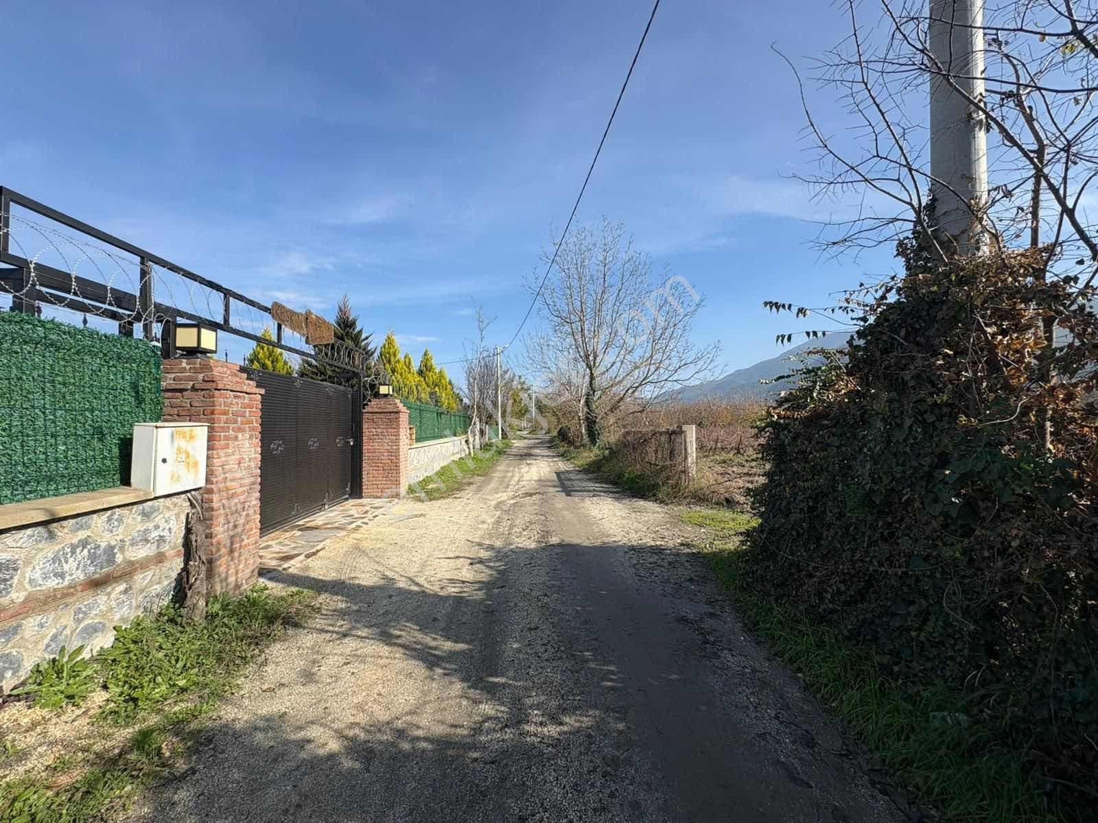 Kuşadası Kirazlı Köyünde Yola Sıfır Tarla - Görsel 5